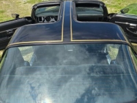 1979 Pontiac Trans Am for sale in Michigan (ID-131480)