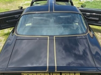 1979 Pontiac Trans Am for sale in Michigan (ID-131480)