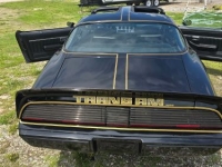 1979 Pontiac Trans Am for sale in Michigan (ID-131480)