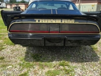 1979 Pontiac Trans Am for sale in Michigan (ID-131480)