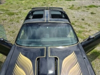 1979 Pontiac Trans Am for sale in Michigan (ID-131480)