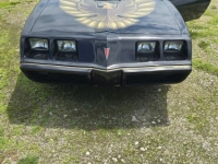 1979 Pontiac Trans Am for sale in Michigan (ID-131480)
