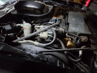 1979 Pontiac Trans Am for sale in Michigan (ID-131480)