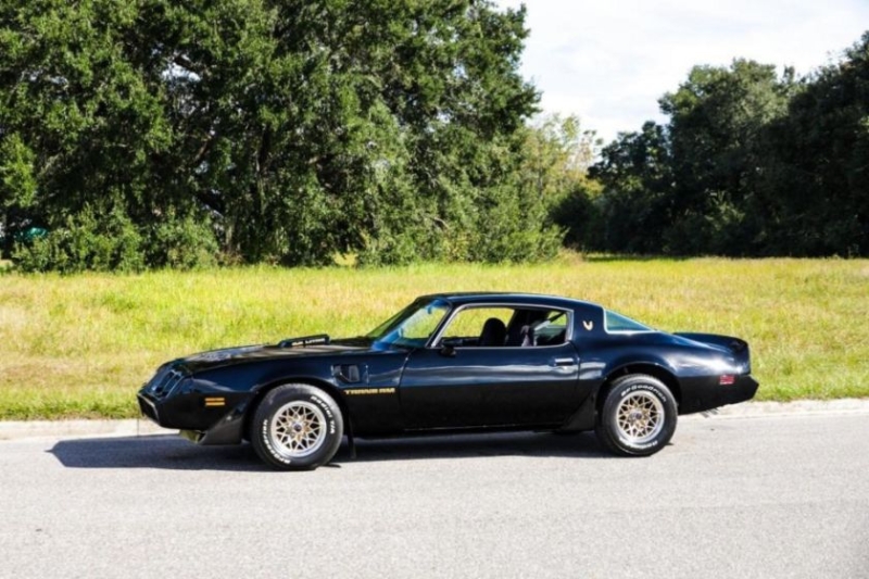 1979 Pontiac Trans Am for sale (ID-116519)