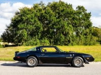 1979 Pontiac Trans Am for sale (ID-116519)