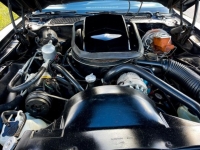 1979 Pontiac Trans Am for sale (ID-116519)