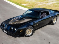 1979 Pontiac Trans Am for sale (ID-116519)