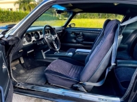 1979 Pontiac Trans Am for sale (ID-116519)