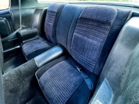 1979 Pontiac Trans Am for sale (ID-116519)
