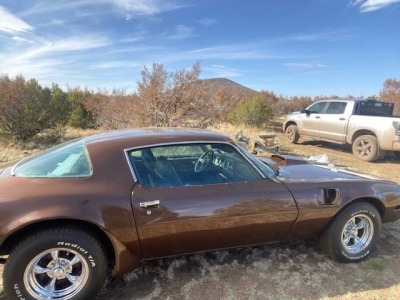 1979 Pontiac Trans Am for sale