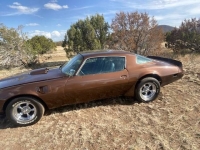 1979 Pontiac Trans Am for sale in Michigan (ID-136424)
