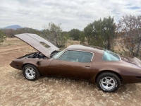 1979 Pontiac Trans Am for sale in Michigan (ID-136425)