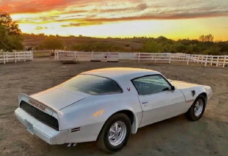 1979 Pontiac Trans Am for sale in Michigan (ID-136615)