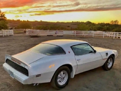1979 Pontiac Trans Am for sale