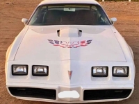 1979 Pontiac Trans Am for sale in Michigan (ID-136615)