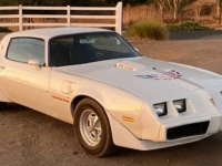 1979 Pontiac Trans Am for sale in Michigan (ID-136615)