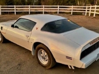 1979 Pontiac Trans Am for sale in Michigan (ID-136615)