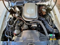 1979 Pontiac Trans Am for sale in Michigan (ID-136615)