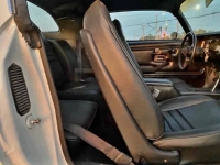 1979 Pontiac Trans Am for sale in Michigan (ID-136615)