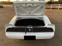 1979 Pontiac Trans Am for sale in Michigan (ID-137210)