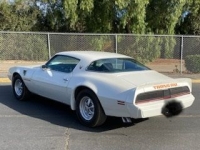 1979 Pontiac Trans Am for sale in Michigan (ID-137210)