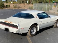 1979 Pontiac Trans Am for sale in Michigan (ID-137210)