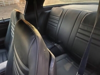 1979 Pontiac Trans Am for sale in Michigan (ID-137210)