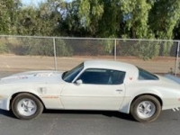 1979 Pontiac Trans Am for sale in Michigan (ID-137210)