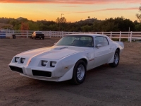 1979 Pontiac Trans Am for sale in Michigan (ID-137210)