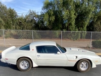 1979 Pontiac Trans Am for sale in Michigan (ID-140753)