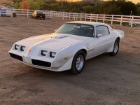 1979 Pontiac Trans Am for sale in Michigan (ID-140753)