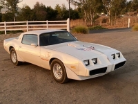 1979 Pontiac Trans Am for sale in Michigan (ID-140753)