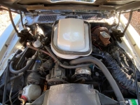 1979 Pontiac Trans Am for sale in Michigan (ID-140753)
