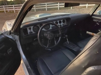 1979 Pontiac Trans Am for sale in Michigan (ID-140753)
