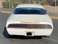 1979 Pontiac Trans Am for sale in Michigan (ID-140753)