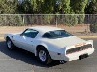 1979 Pontiac Trans Am for sale in Michigan (ID-140753)