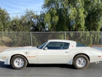 1979 Pontiac Trans Am for sale in Michigan (ID-140753)
