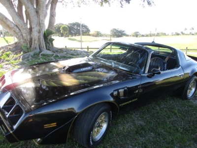 1979 Pontiac Trans Am for sale