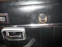 1979 Pontiac Trans Am for sale in Michigan (ID-141091)