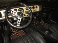 1979 Pontiac Trans Am for sale in Michigan (ID-141091)