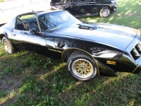 1979 Pontiac Trans Am for sale in Michigan (ID-141091)