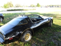1979 Pontiac Trans Am for sale in Michigan (ID-141091)