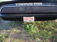 1979 Pontiac Trans Am for sale in Michigan (ID-141091)