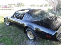 1979 Pontiac Trans Am for sale in Michigan (ID-141091)
