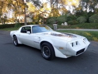1979 Pontiac Trans Am for sale in Michigan (ID-141341)