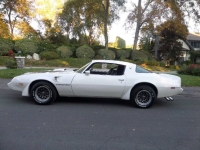 1979 Pontiac Trans Am for sale in Michigan (ID-141341)