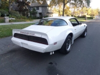 1979 Pontiac Trans Am for sale in Michigan (ID-141341)