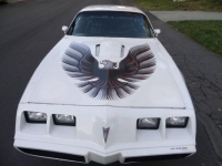1979 Pontiac Trans Am for sale in Michigan (ID-141341)