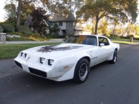 1979 Pontiac Trans Am for sale in Michigan (ID-141341)
