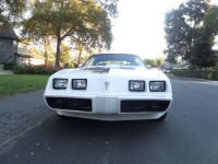 1979 Pontiac Trans Am for sale in Michigan (ID-141341)